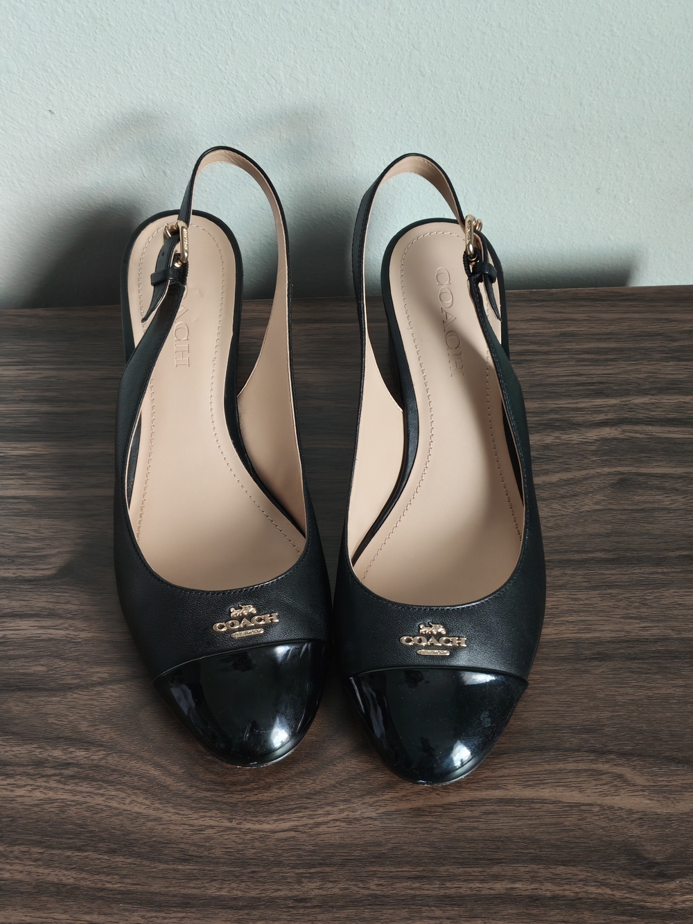Coach Erica Leather Slingback Pumps in Black